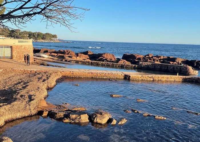 Les Anthemis- Bord De * Saint-Raphaël
