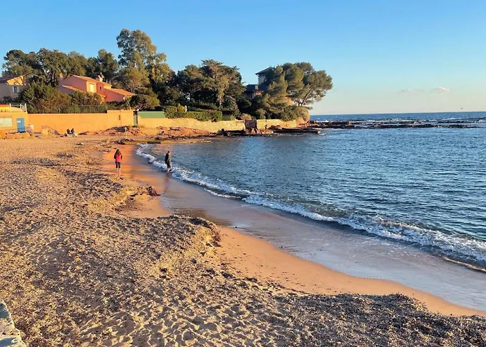 Les Anthemis- Bord De * Saint-Raphaël
