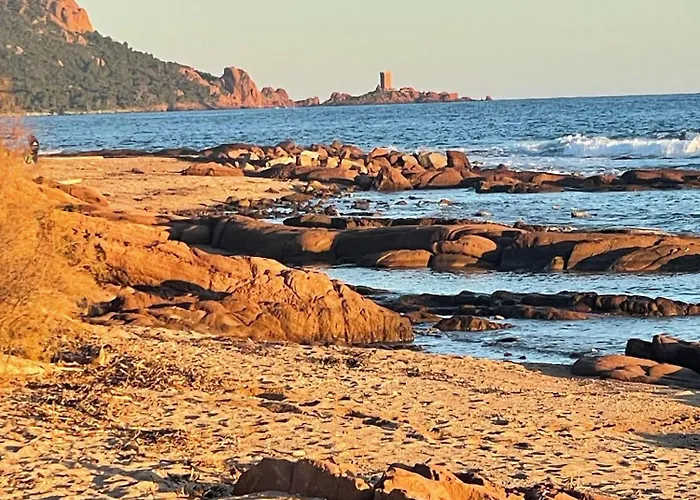 Les Anthemis- Bord De * Saint-Raphaël