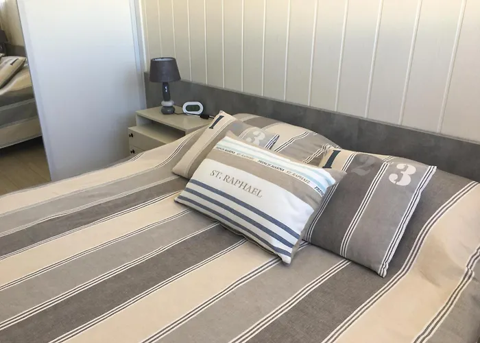 Les Anthemis- Bord De * Saint-Raphaël